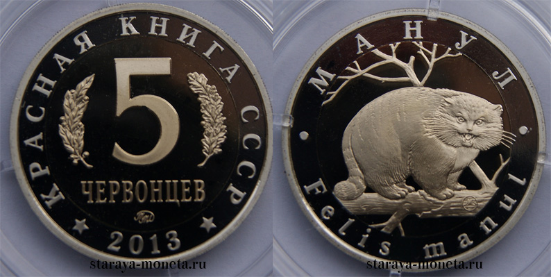 Красная книга СССР, кот-манул, 5 червонцев 2013 г. ММД, биметалл, proof. (архив)
