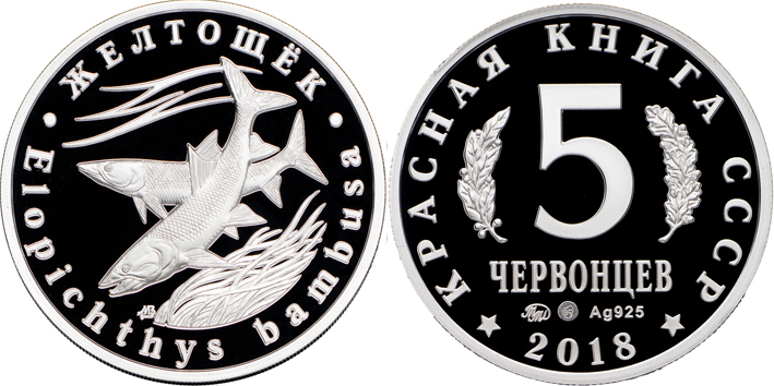 Красная книга СССР, рыба желтощек, 5 червонцев 2018 г. ММД, серебро, proof. (архив)