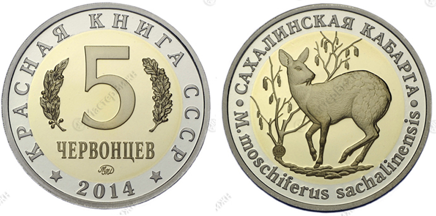 Красная книга СССР, сахалинская кабарга, 5 червонцев 2014 г. ММД, биметалл, proof. (архив)